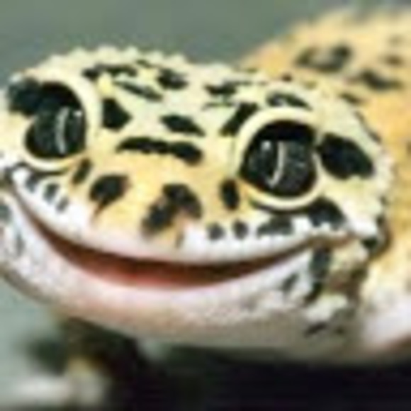 Meet your Posher, Deanna - Picture 2 of 2